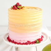 Framboise Crispy 5-8mm 25gr